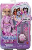 Opakowanie Barbie Dream Besties Weekendowy wyjazd + akcesoria