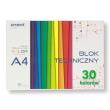 Opakowanie Blok techniczny A4 kolorowy 185-225g 30 arkuszy