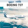 Boeing 737. Autor: Wolfgang Borgmann. Dadada.pl Okładka książki Boeing 737