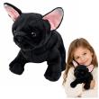 Opakowanie Buldog francuski czarny 22cm