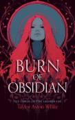 Okładka książki Burn of Obsidian: A Dark Paranormal Romance