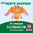 CD MP3 Przygody Euzebiusza. Autor: Beata Krupska. Dadada.pl Okładka książki CD MP3 Przygody Euzebiusza