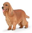 Opakowanie Cocker Spaniel