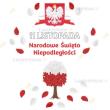 Opakowanie Dekoracja patriotyczna Narodowe Święto...XL