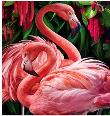 Opakowanie Diamentowa Mozaika Flamingi duże różowe NO-1007350
