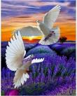 Opakowanie Diamentowa Mozaika Gołębie nad lawendowymi polami NO-1007012