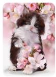 Opakowanie Diamentowa Mozaika Kotek w kwiatach NO-1008279