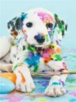 Opakowanie Diamentowa Mozaika Pies dalmatyńczyk NO-1004869