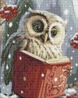 Opakowanie Diamentowa mozaika - Sprytna sowa 40x50cm