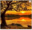 Opakowanie Diamentowa Mozaika Zachód słońca nad moczarami NO-1007414
