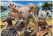 Opakowanie Diamentowa Mozaika Zwierzęta safari uśmiechnięte NO-1007771