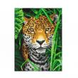 Opakowanie Diamond Dotz - Jaguar Jungle
