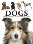 Dogs wer. angielska. Autor: Jackson Tom. Dadada.pl Okładka książki Dogs wer. angielska
