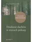 Działanie duchów w stanach pokusy Analiza ... Autor: Krzysztof Wons. Dadada.pl Okładka książki Działanie duchów w stanach pokusy Analiza ..