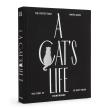 Opakowanie Fotoalbum Kot A Cat's Life