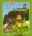 Franklin i statek kosmiczny. Autor: Paulette Bourgeois. Dadada.pl Okładka książki Franklin i statek kosmiczny