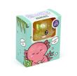 Gniotek Axolotl błyszczący 1 szt.mix TY963. Wydawca: PUCKATOR EUROPEAN DISTRIBUTION CENTRE. Dadada.pl Opakowanie Gniotek Axolotl błyszczący 1 szt.mix TY963