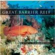 Opakowanie Great Barrier Reef CD