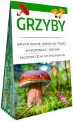 Okładka książki Grzyby. Poręczny, laminowany miniprzewodnik