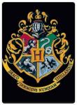 Opakowanie Harry Potter Magnes Herb Hogwartu