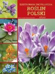 Ilustrowana encyklopedia roślin polski. Atlas. Autor: Opracowanie zbiorowe. Dadada.pl Okładka książki Ilustrowana encyklopedia roślin polski. Atlas