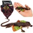 Opakowanie Jaszczurka Agama błoniasta gumowa rozciągliwa 13cm
