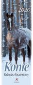 Opakowanie Kalendarz 2026 pocztówkowy 12,5x33cm Konie