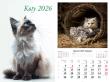 Opakowanie Kalendarz 2026 ścienny 13-k Koty