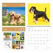 Opakowanie Kalendarz 2026 ścienny 30x30 Psy HELMA