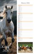Opakowanie Kalendarz 2026 ścienny pasek Konie