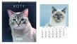 Opakowanie Kalendarz 2026 ścienny planszowy 33,5x40cm Koty
