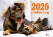 Kalendarz 2026 Ulubieńcy KA4. Autor: Zespół AWM. Dadada.pl Okładka książki Kalendarz 2026 Ulubieńcy KA4