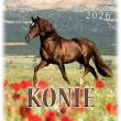 Opakowanie Kalendarz 2026 wieloplanszowy 33x33cm Konie