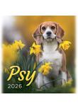 Opakowanie Kalendarz 2026 wieloplanszowy 33x33cm Psy