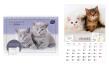 Opakowanie Kalendarz 2026 z kieszonką 25x17,5cm Zwierzaki