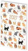 Okładka książki Kalendarz 2027 A6 tygodniowy PCV bezbarwny MIX