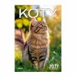 Opakowanie Kalendarz 2027 ścienny A4 Koty