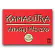 Okładka książki Kamastutra