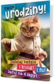 Opakowanie Karnet B6 Urodziny