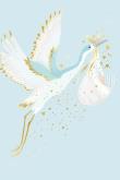 Opakowanie Karnet Narodziny - Blue Stork
