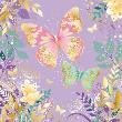 Opakowanie Karnet Uniwersalny - Classy Butterflies