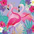 Opakowanie Karnet Uniwersalny - Shiny Flamingos