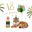 Opakowanie Kartka okolicznościowa Urodziny 18
