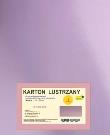 Opakowanie Karton obustronnie lustrzany 350g 21,5x32cm