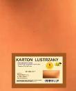 Opakowanie Karton obustronnie lustrzany 350g 21,5x32cm