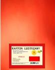 Opakowanie Karton obustronnie lustrzany 350g 21,5x32cm