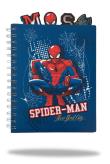 Opakowanie Kołobrulion A5100k.kratka z główkami Disney Spider-Man wzór 1