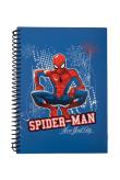 Opakowanie Kołobrulion B5 100.k kratka plastikowa spirala Disney Spider-Man wzór 2