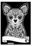 Opakowanie Kolorowanka welwetowa A4 Chihuahua