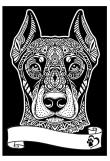 Opakowanie Kolorowanka welwetowa A4 Doberman